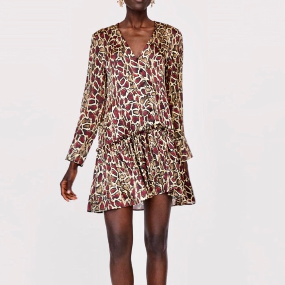 Zara dress